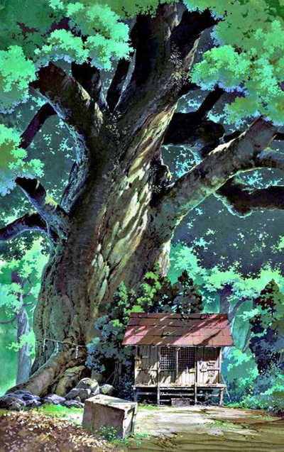 Kusanoki - Camphor Tree
