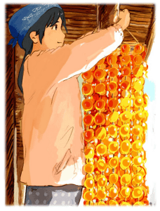 Dozens of dried persimmon in front of houses are not an uncommon sight during the autumn month in Japan. 